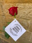 Osnabrück: Antikriegstag mit den OMAS