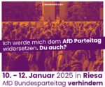 # Riesa: Demo-Infos