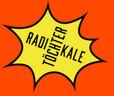 # Streichung der Fördermittel, Angriff auf die Zivilgesellschaft (Beispiel: “Radikale Töchter”)